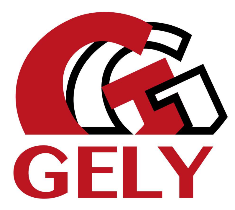 Logo GELY 2025 GELY